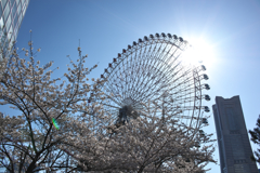 YOKOHAMA PARKS