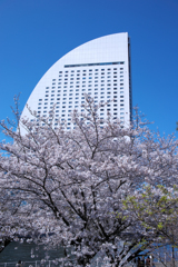 YOKOHAMA PARKS