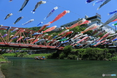 20160501114010_IMG_2738