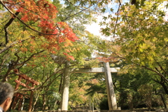 20181028121920_0K6A0174