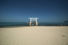 20180328111851_IMG_9278