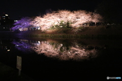 20180324194310_IMG_9176