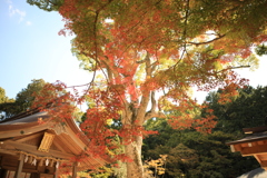 20181028124818_0K6A0226