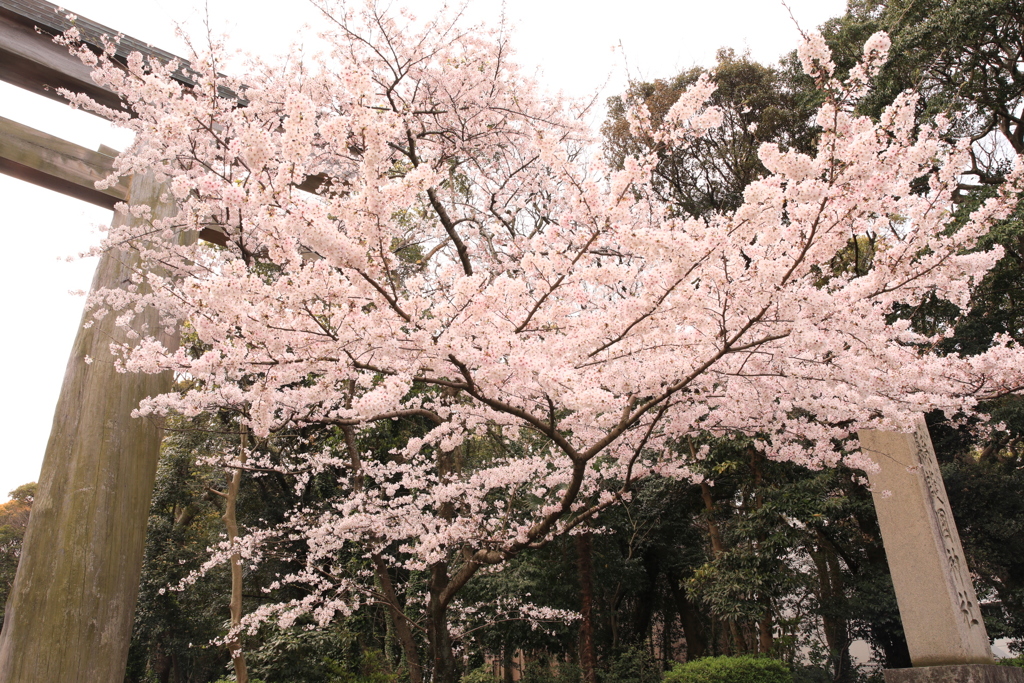 20190330110351_0K6A0938