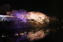 20180324200724_IMG_9254