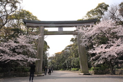 20190330104919_0K6A0922