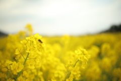 20190323102244_0K6A0745