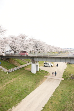 2025年さくら４