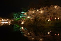 高田城夜桜