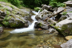 岩場の水辺