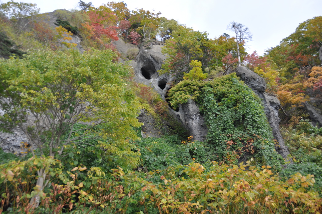 豊浦町　小幌海岸の秋