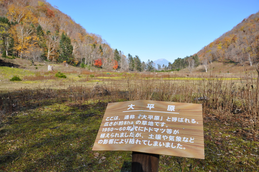 洞爺湖に浮かぶ中島の秋