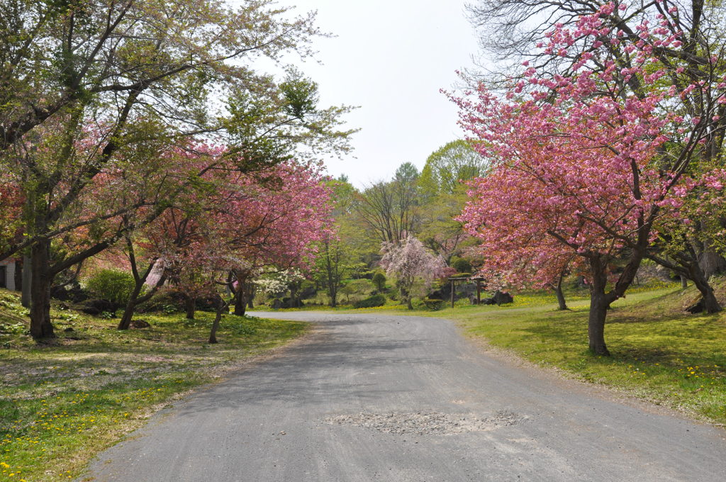 善光寺自然公園