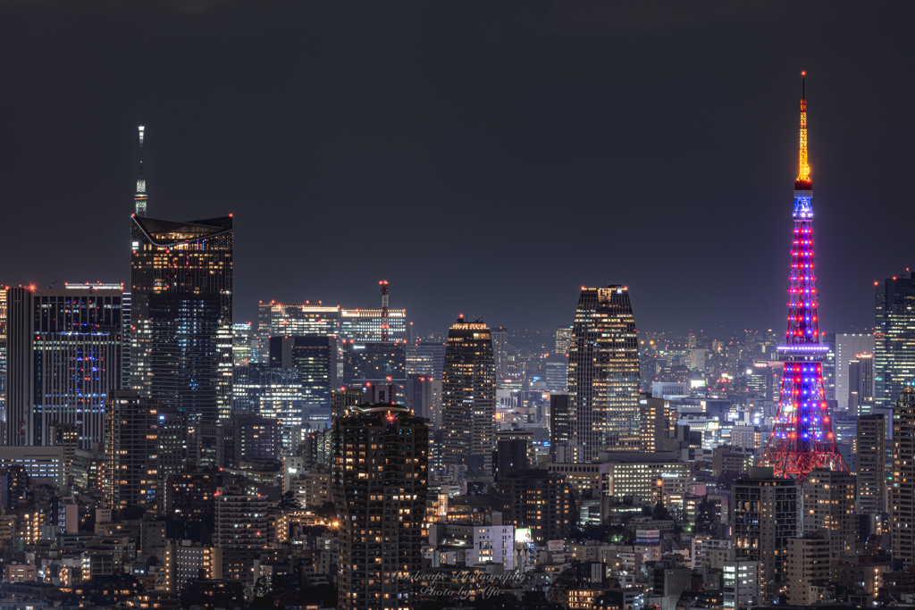 東京夜景