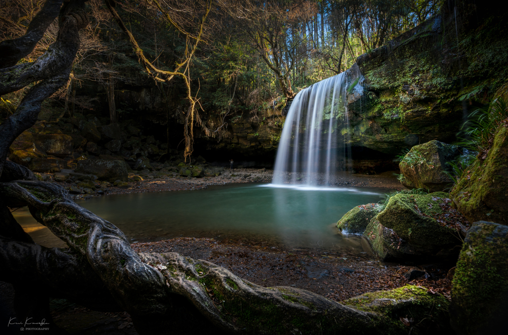 森のオアシスⅡ