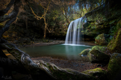 森のオアシスⅡ