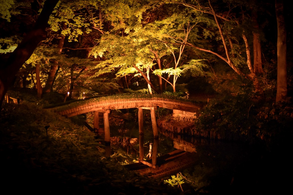 ‪六義園‬ ‪〜紅葉と大名庭園のライトアップ‬〜