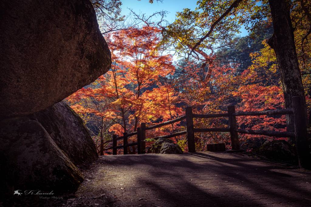 紅葉路Ⅱ