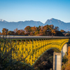 八ヶ岳高原大橋