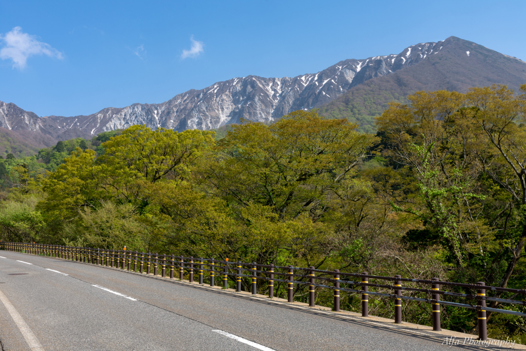 道路越しの絶景