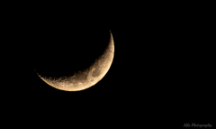 今夜のお月様
