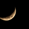 今夜のお月様