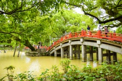 太宰府天満宮  〜太鼓橋〜