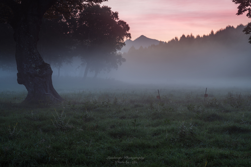 Morning mist at sunrise