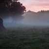 Morning mist at sunrise