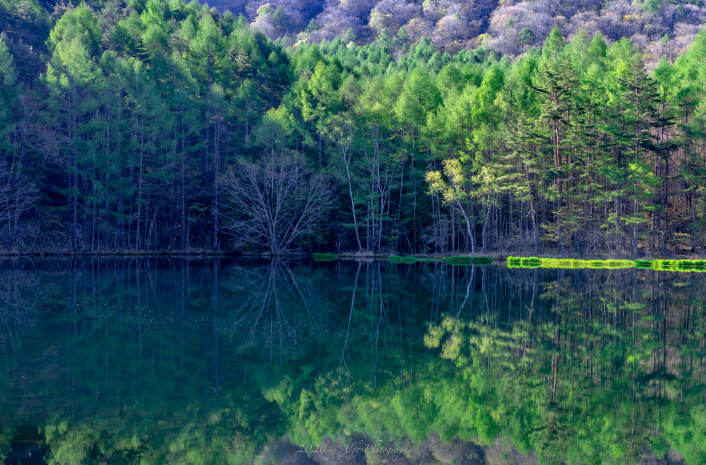 Reflection