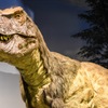 T.rex