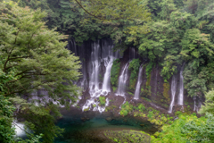 富士山麓の白糸垂るるカーテン