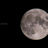 harvest moon