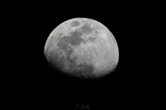THE MOON