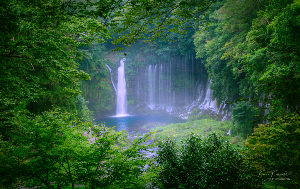 oasis