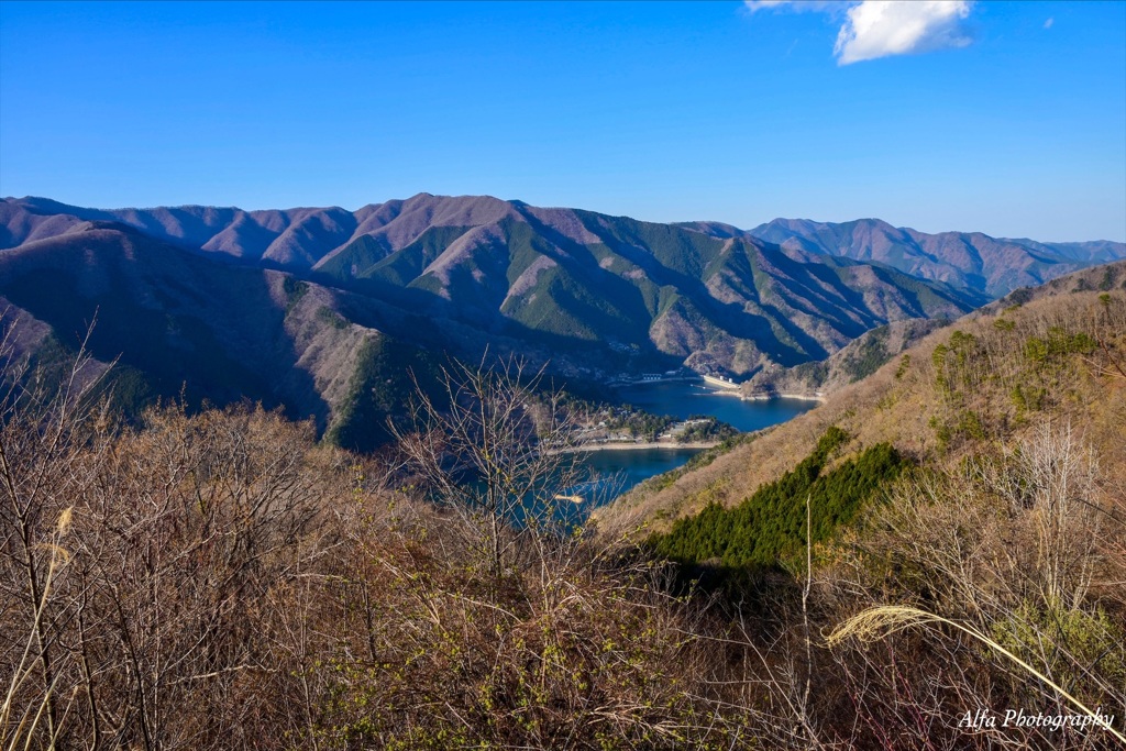 奥多摩湖