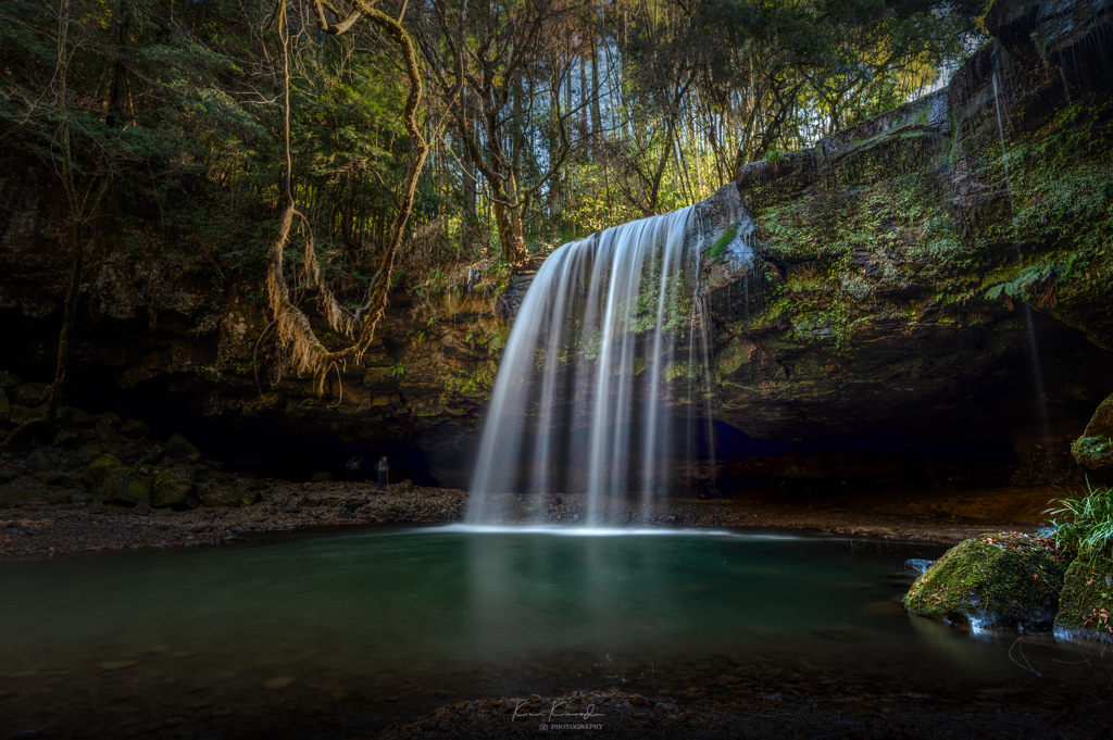 森のオアシスⅠ