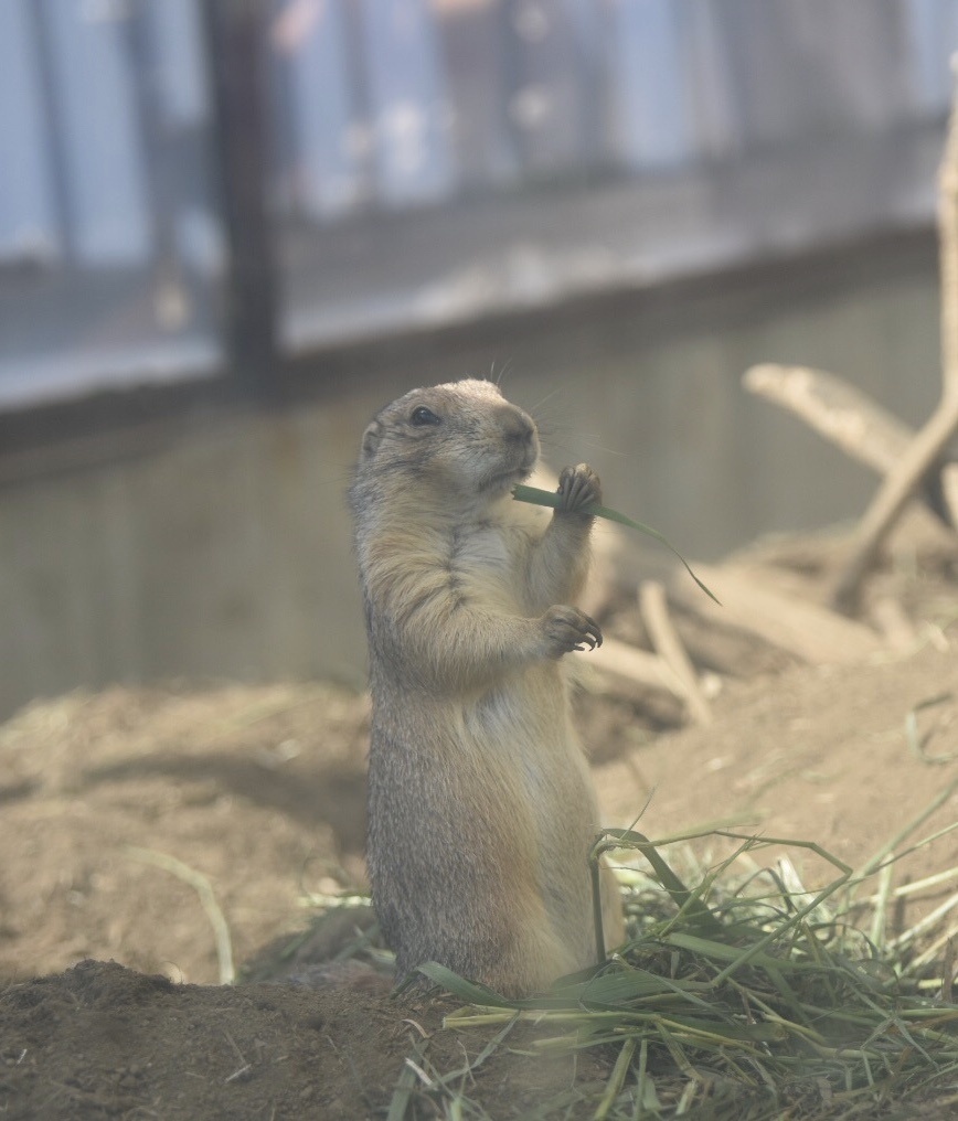 モグモグ