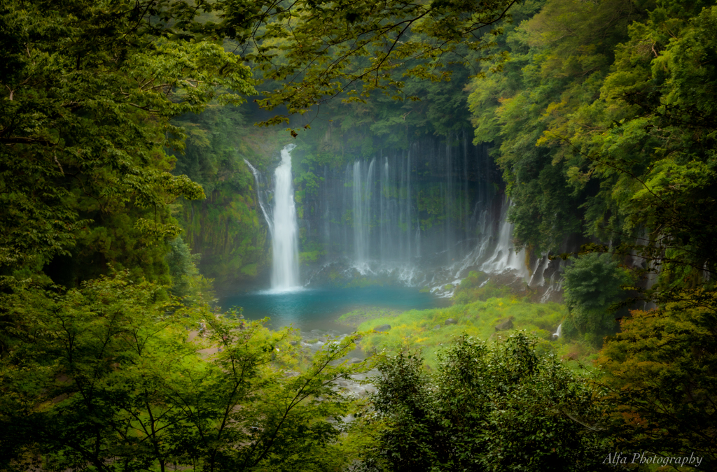 oasis