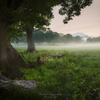 Fantastic scenery