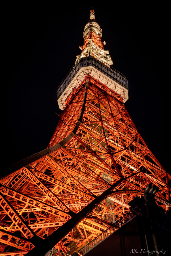 東京タワーⅢ