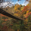 紅葉の中を架ける橋