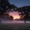 Fantastic landscape