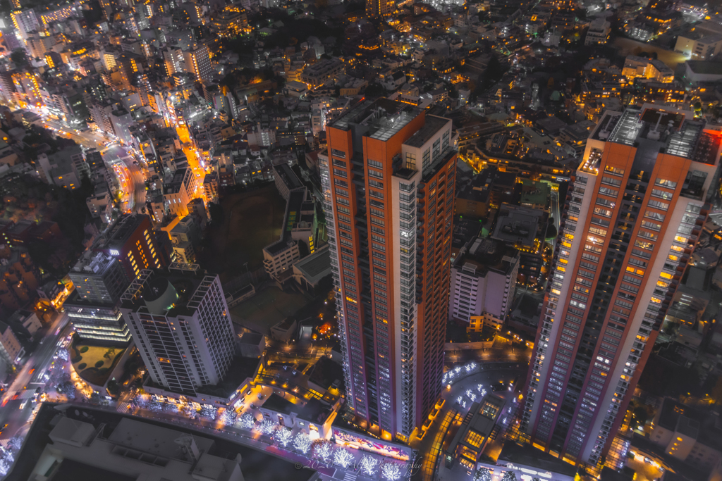 Tokyo City View