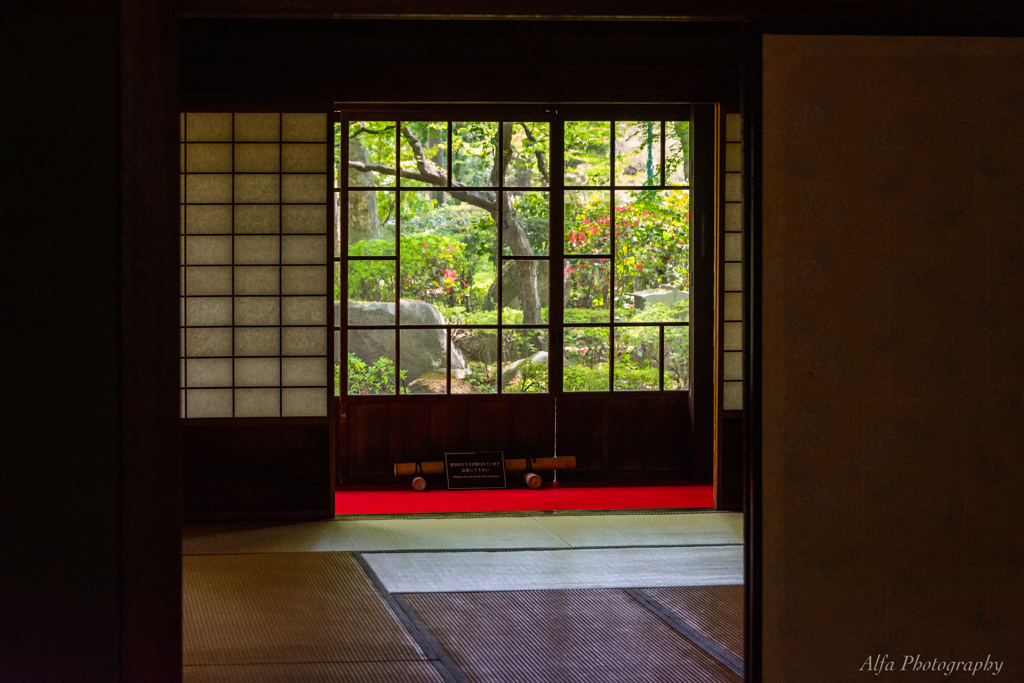 趣