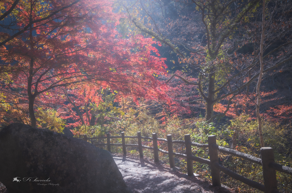 紅葉路Ⅰ