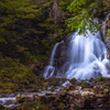 滝巡りⅤ