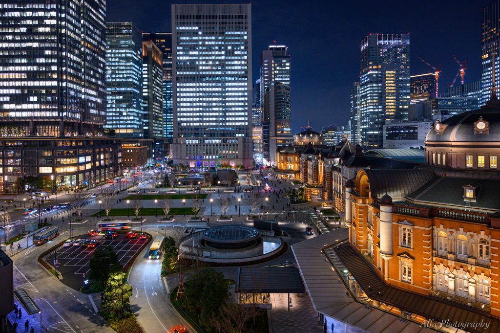 Tokyo Station View Ⅰ
