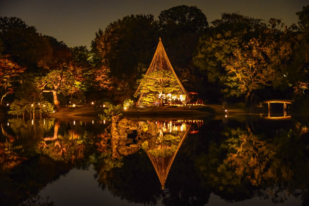 ‪六義園‬ ‪〜紅葉と大名庭園のライトアップ‬〜