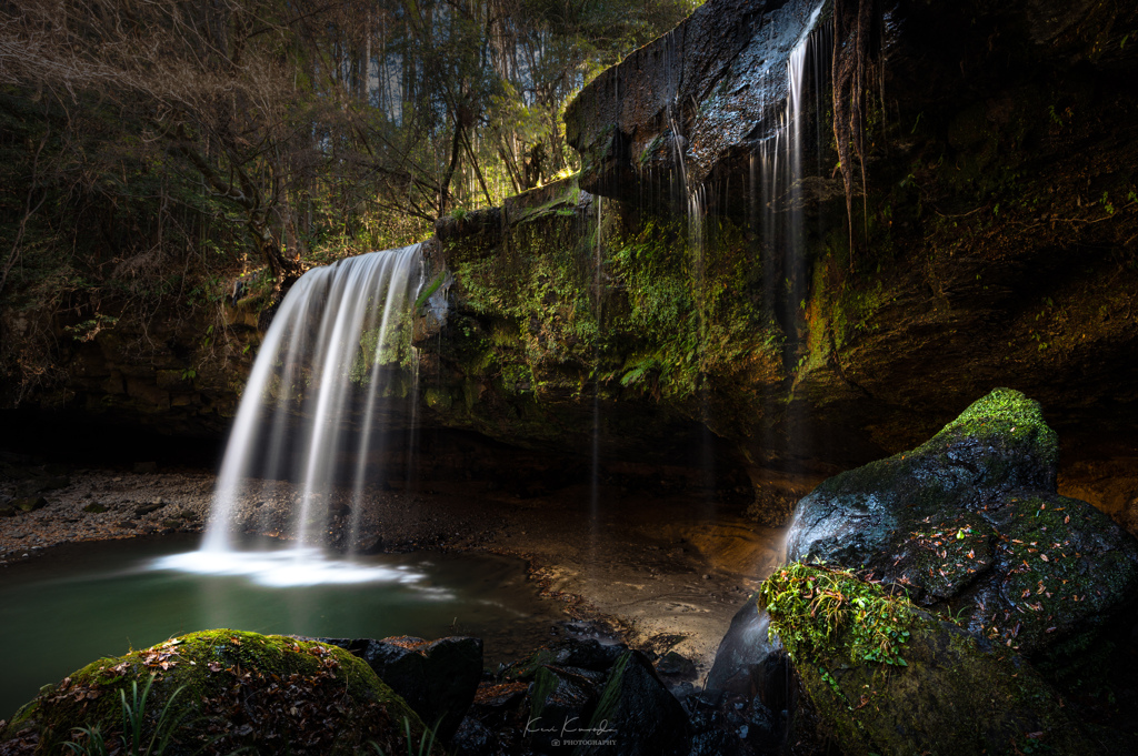 森のオアシスⅢ